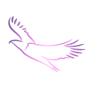 Skillsvest logo